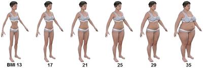 Body Size Adaptation Alters Perception of Test Stimuli, Not Internal Body Image